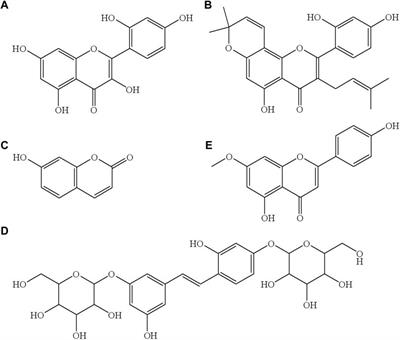 Comparative pharmacokinetics of four major compounds after oral administration of Mori Cortex total flavonoid extract in normal and diabetic rats